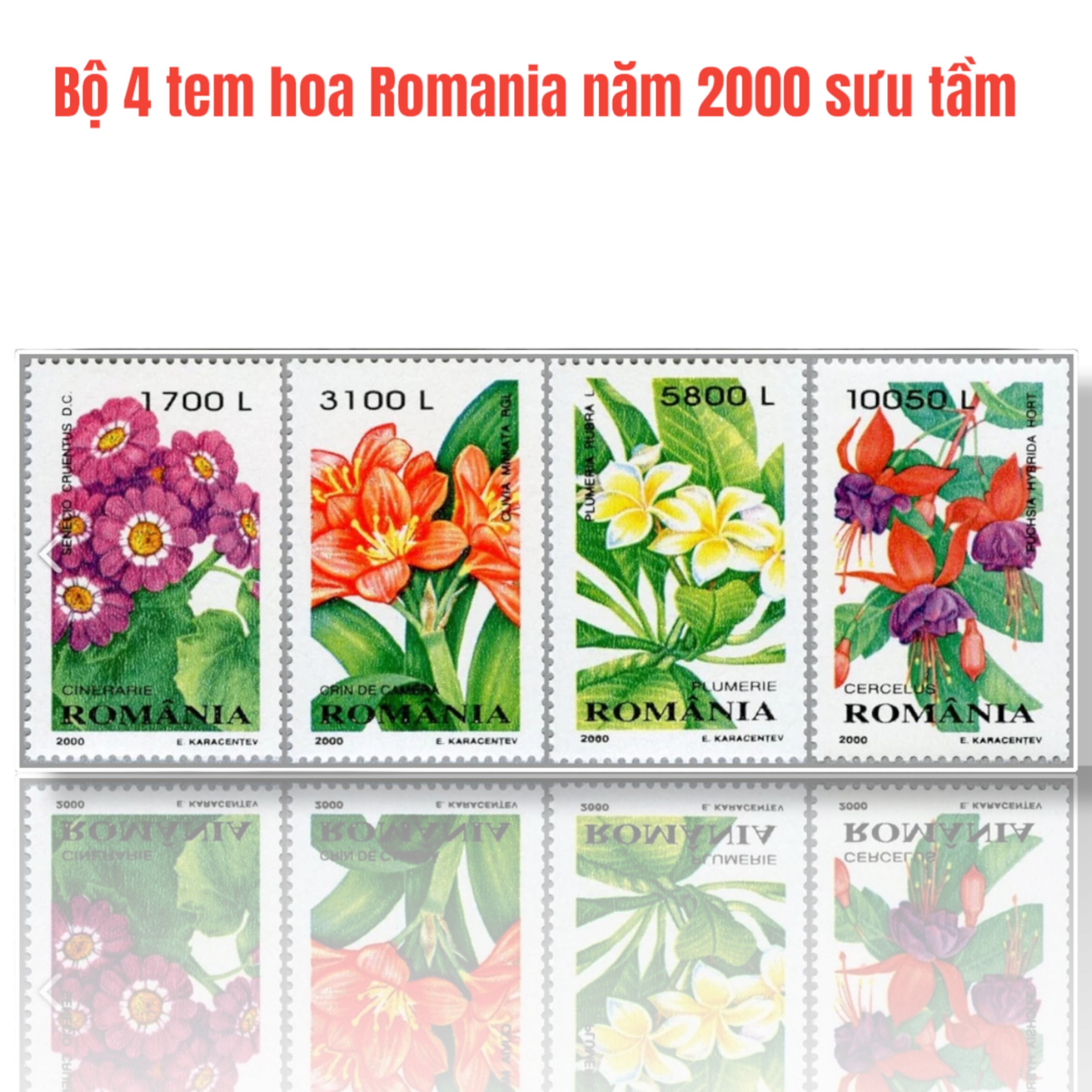 Bộ 4 tem hoa Romania năm 2000 sưu tầm