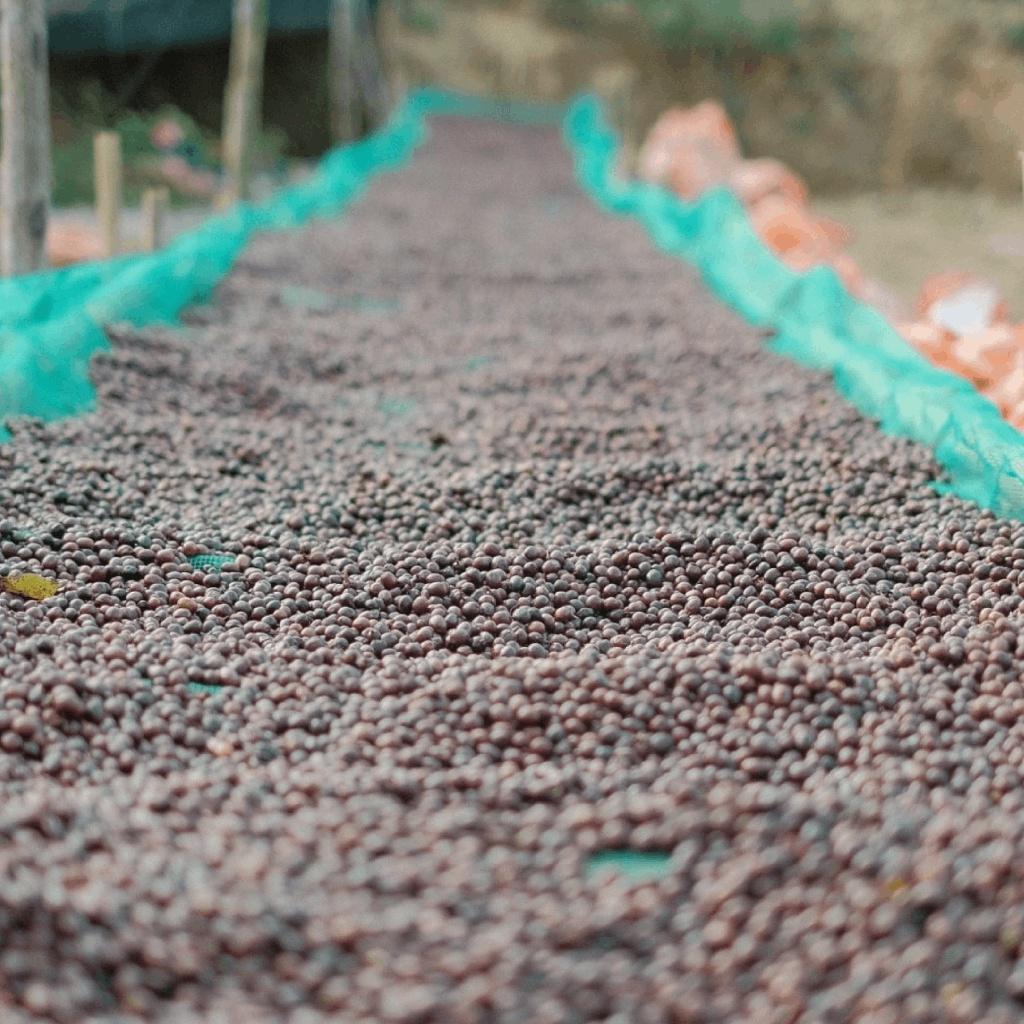 Cà phê Blend Arabica & Robusta Tinh Coffee, Vị cân bằng, đậm đà, thơm 100% nguyên chất, rang xay mộc - 250gr / 500gr