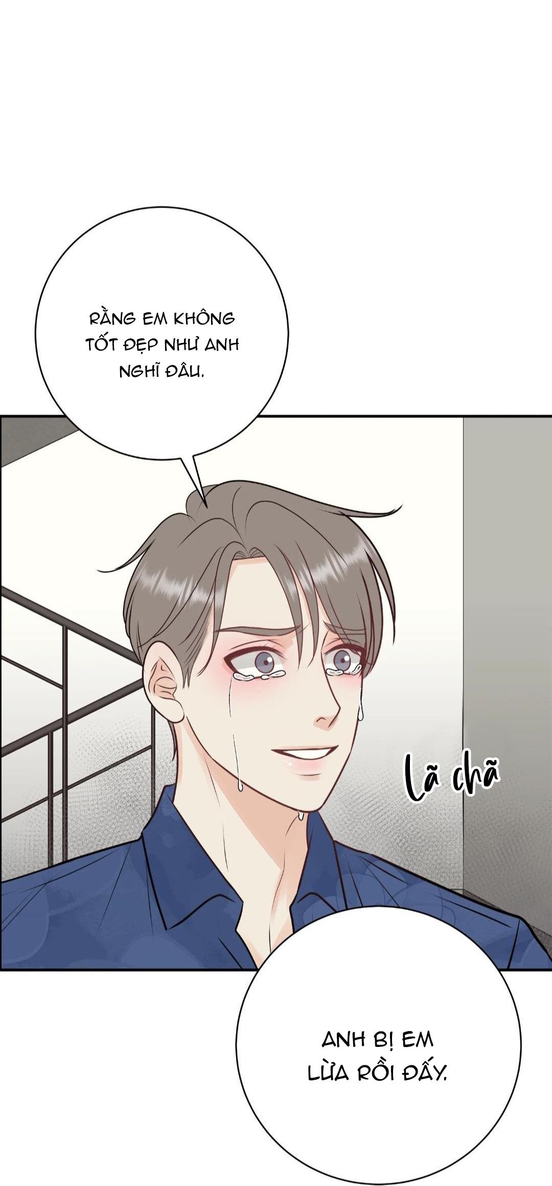 hạnh phúc trọn vẹn chapter 25 27