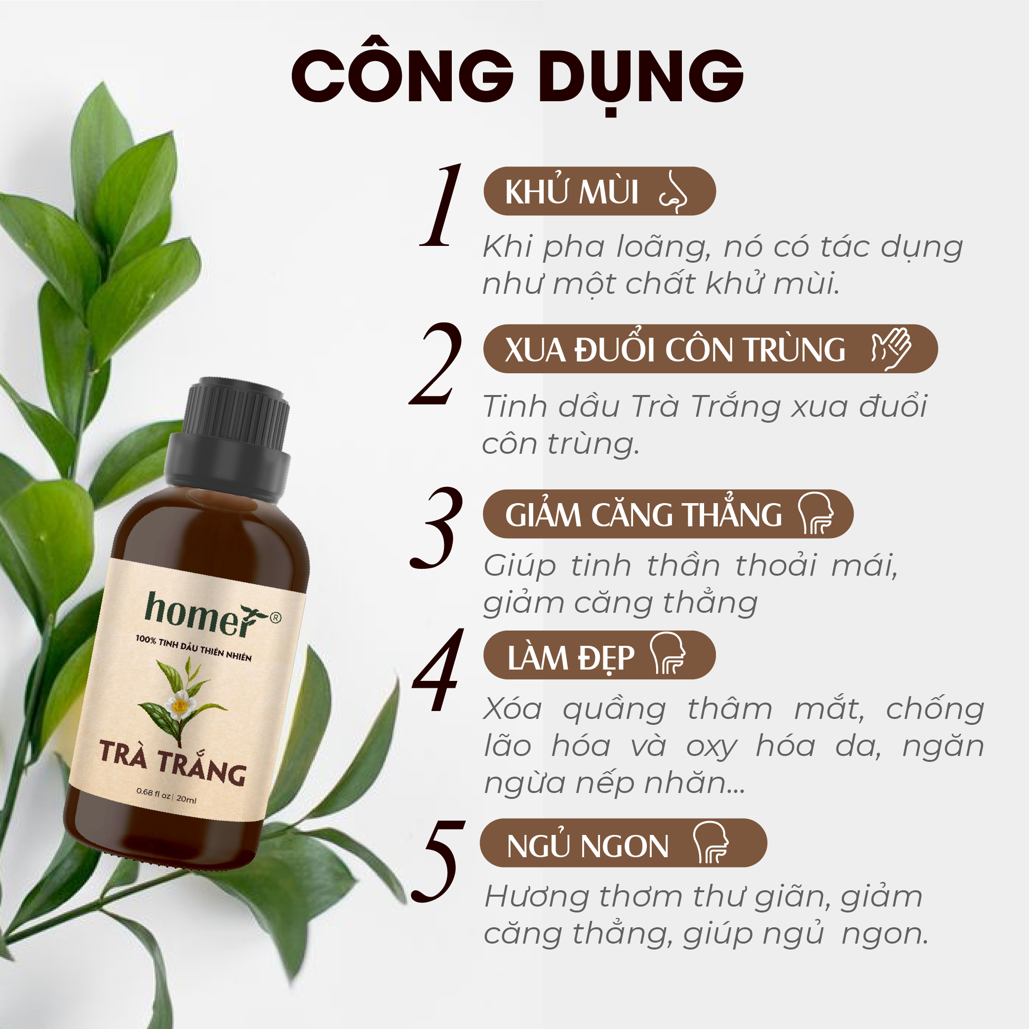 Tinh Dầu Trà Trắng Homer 100ml - Chính Hãng, Đạt Chuẩn Kiểm Định Cao Cấp - Tinh Dầu Xông Thơm Phòng, Thư Giãn, Khử Mùi hiệu quả