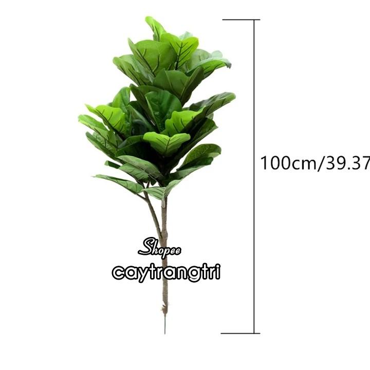 Cây Bàng Singapore Giả - Cây Bàng Singapore Giả Trang Trí Nội Thất cao 100 cm gồm 3 nhánh - ẢNH THẬT