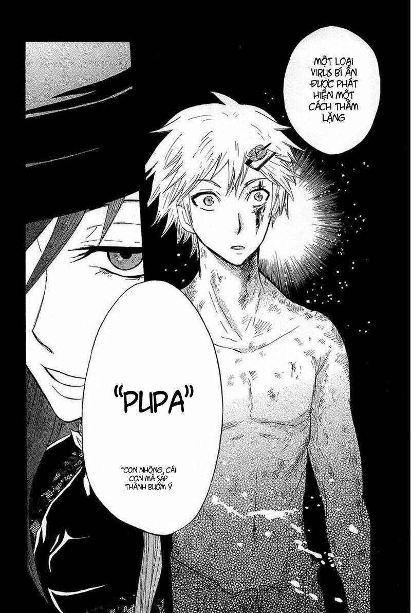 pupa chapter 4 19
