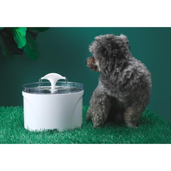 Máy lọc nước cho thú cưng, Đài phun nước 2.5L dành cho mèo, bằng inox không gỉ , an toàn sạch sẽ
