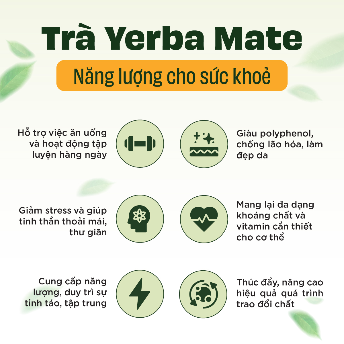 [COMBO] Trà Yerba Maté Original Túi Nhỏ 180g - Vị Truyền Thống + Bình Thủy Tinh Tiện Lợi