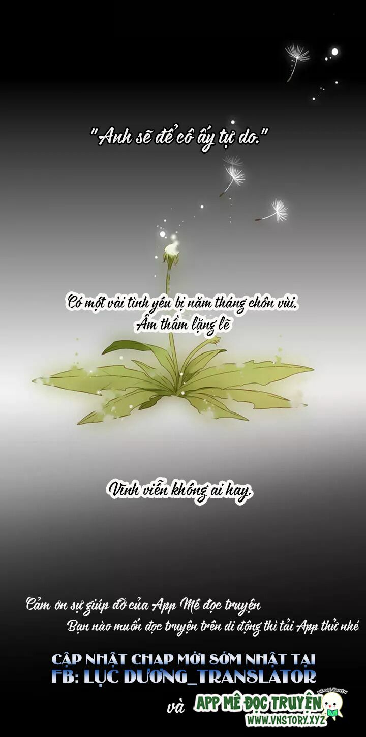 Tình yêu là màu hoa anh thảo chapter 31.2 27