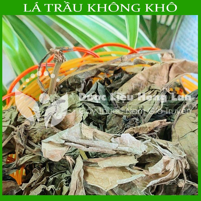 500g Lá Trầu Không khô sạch loại 1