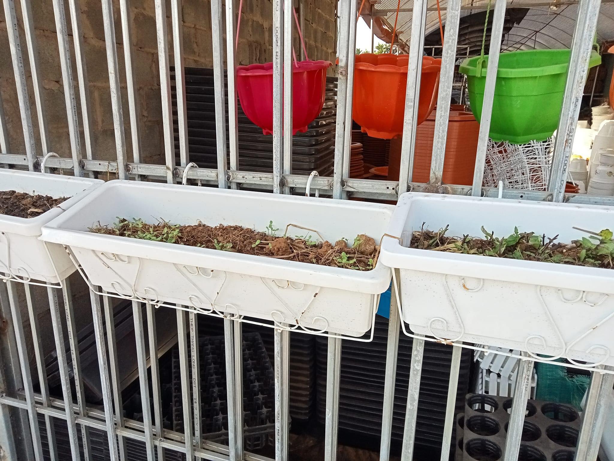 Chậu nhựa thông minh trồng rau trồng hoa, hình chữ nhật -- kèm giá sắt treo chậu kích thước 48x20x16cm