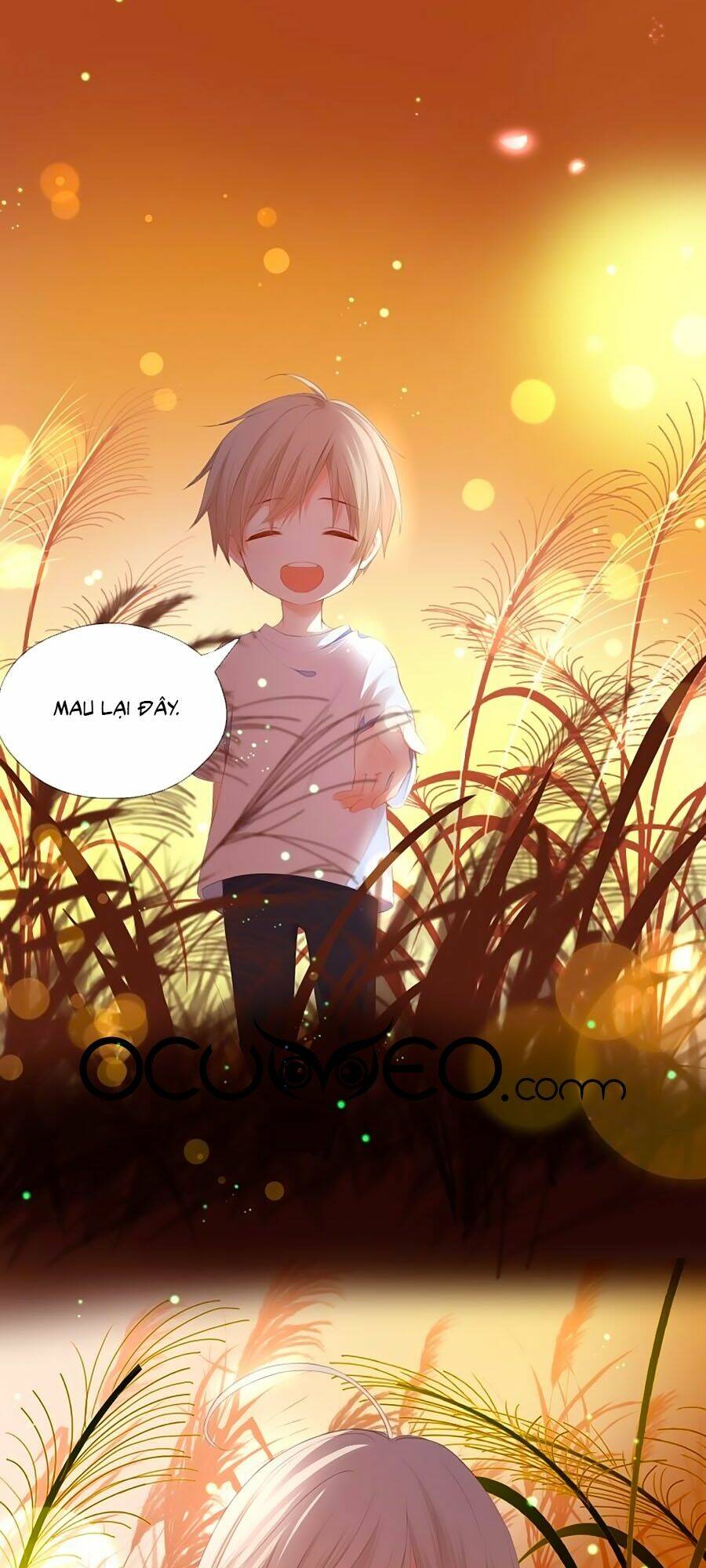 đóa hoa chớm nở chapter 69 27