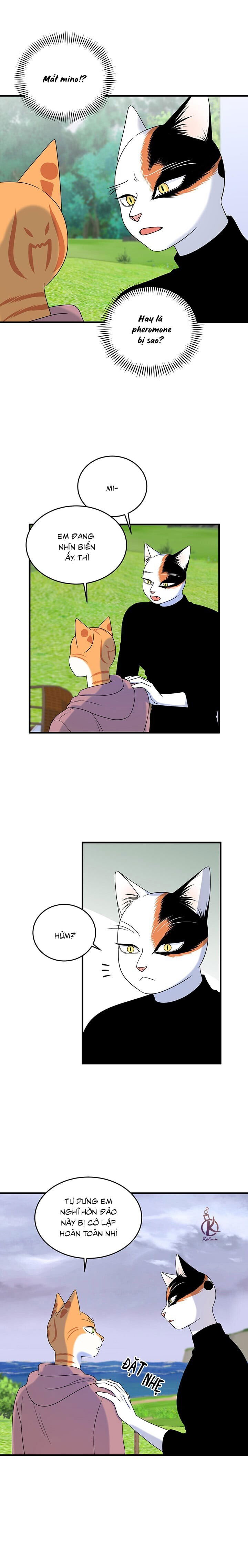 dự án xanh chapter 47 11