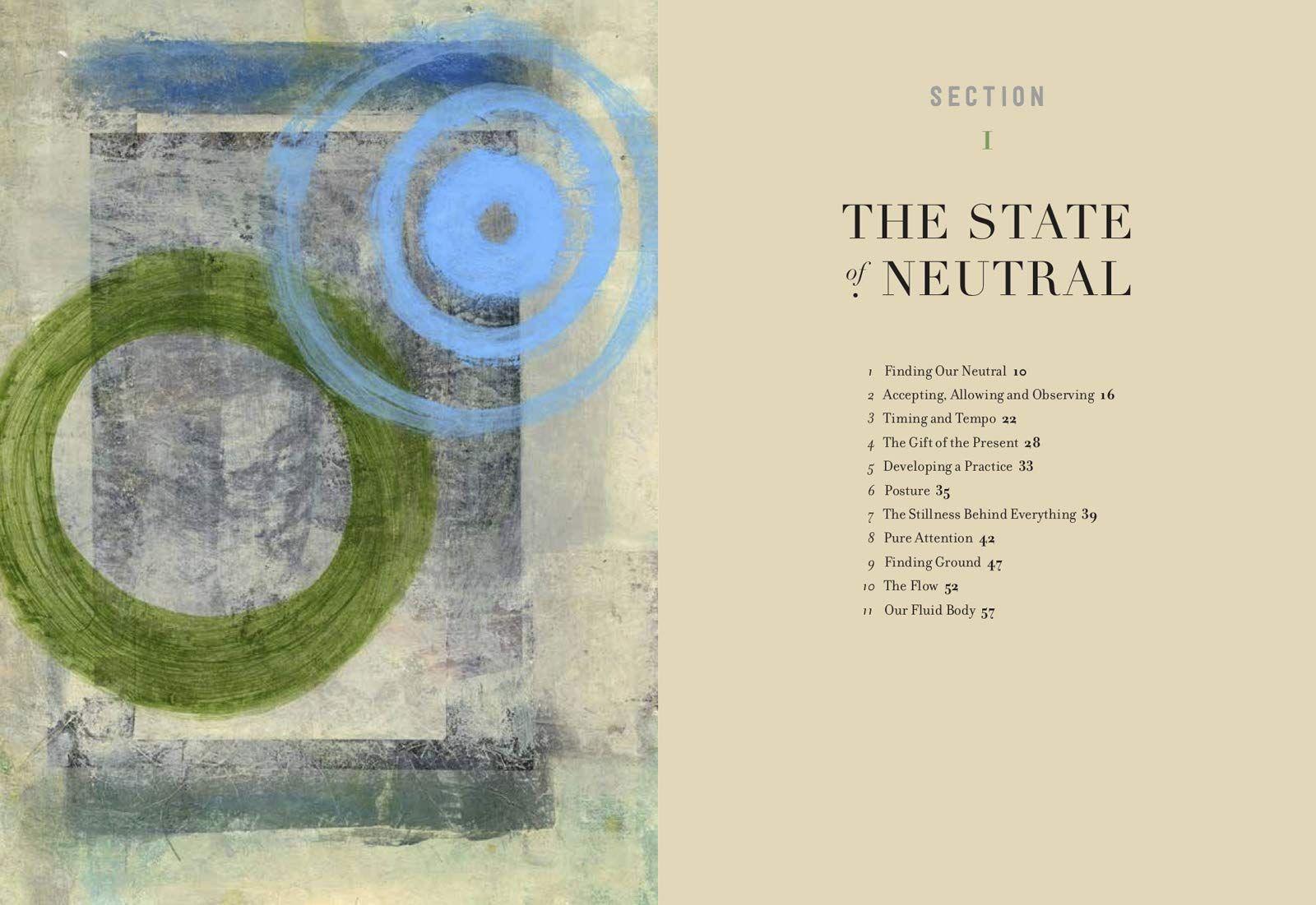 Sách - Dynamics of Stillness : Develop Your Senses and Reconnect with Nature Throu by Ian Wright