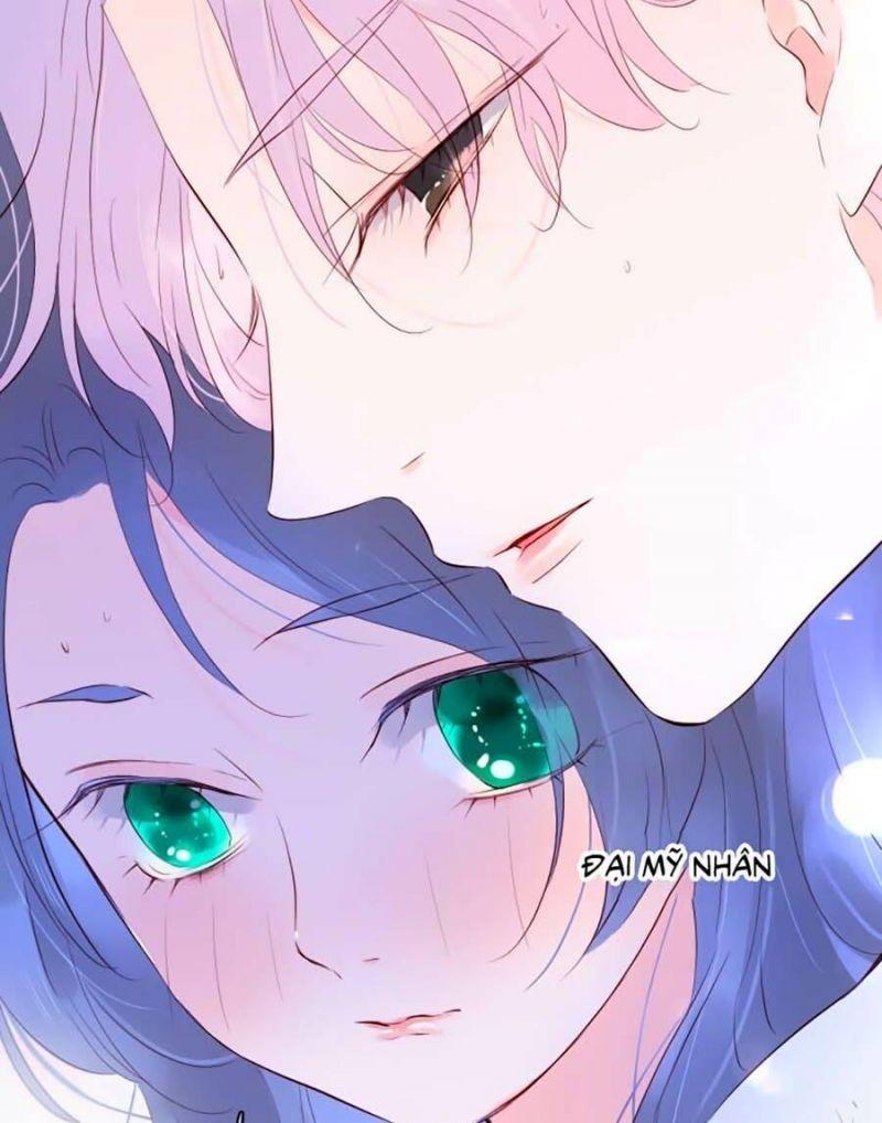 hoa bỏ chạy với nhím rồi chapter 4.5 3