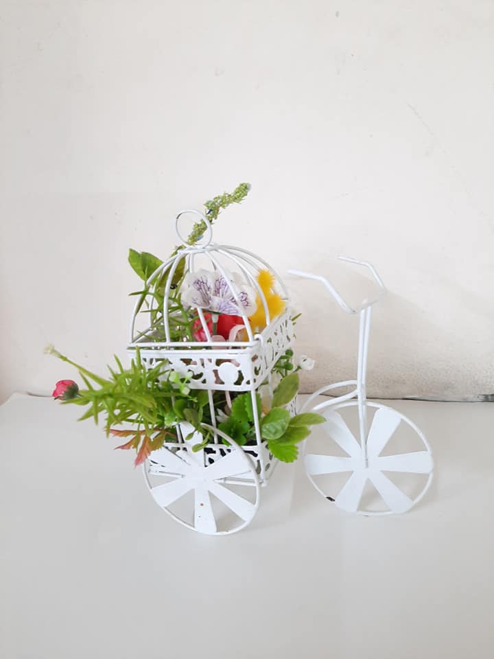 GIỎ HOA HÌNH XE ĐẠP CHỞ XUÂN VỀ