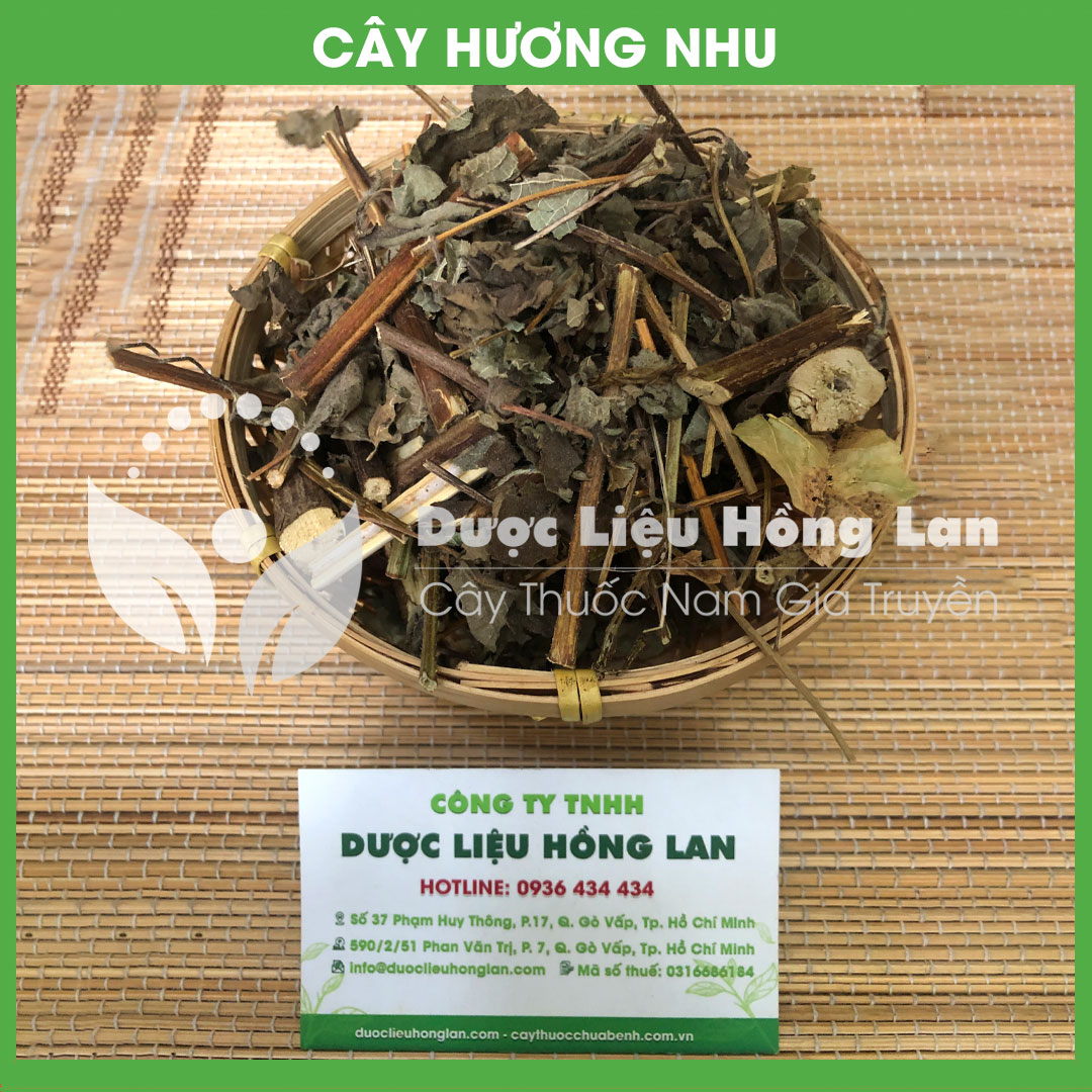 500g Cây Hương Nhu khô sạch