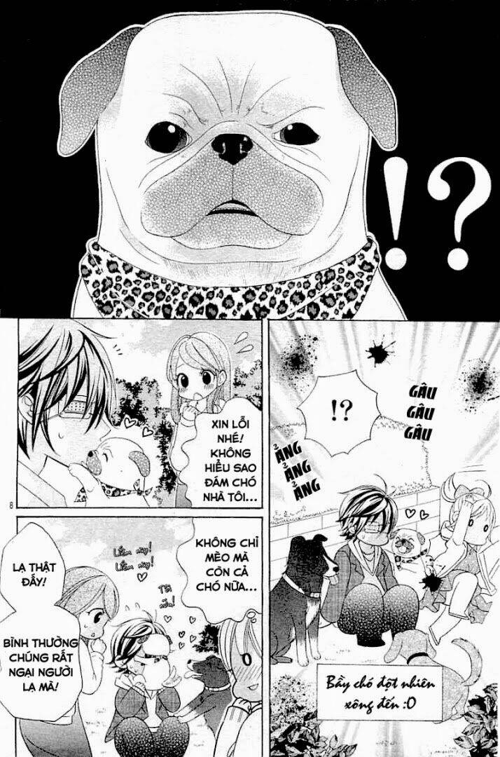 cuộc gặp gỡ diệu kỳ chapter 20 11