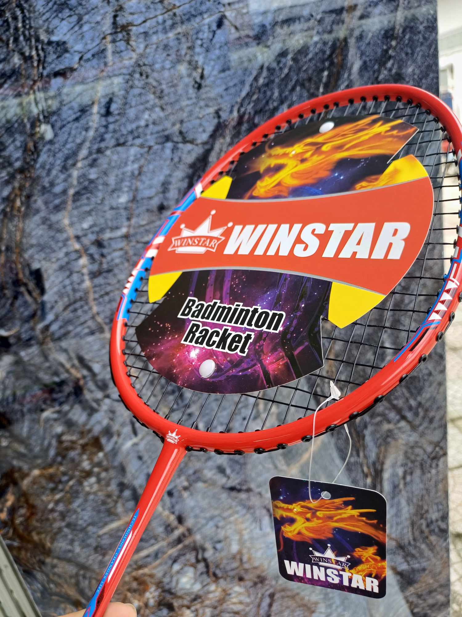 Vợt cầu  lông vợt đơn Winstar 770