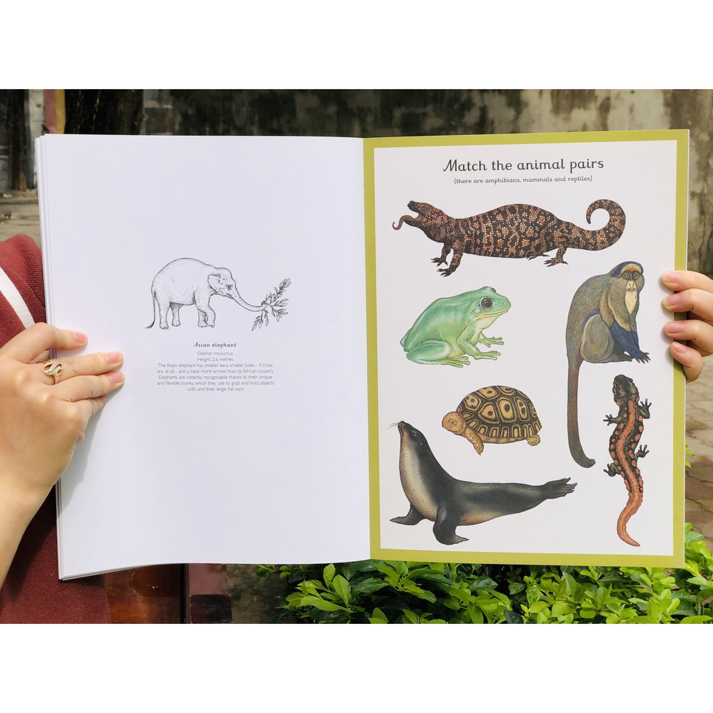 Sách : Animalium Activity Book - Tìm Hiểu Hoạt Động Của Các Loài Động Vật