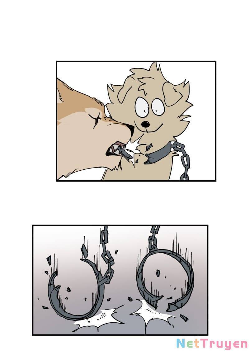 lumine - cội nguồn ánh sáng chapter 154 22