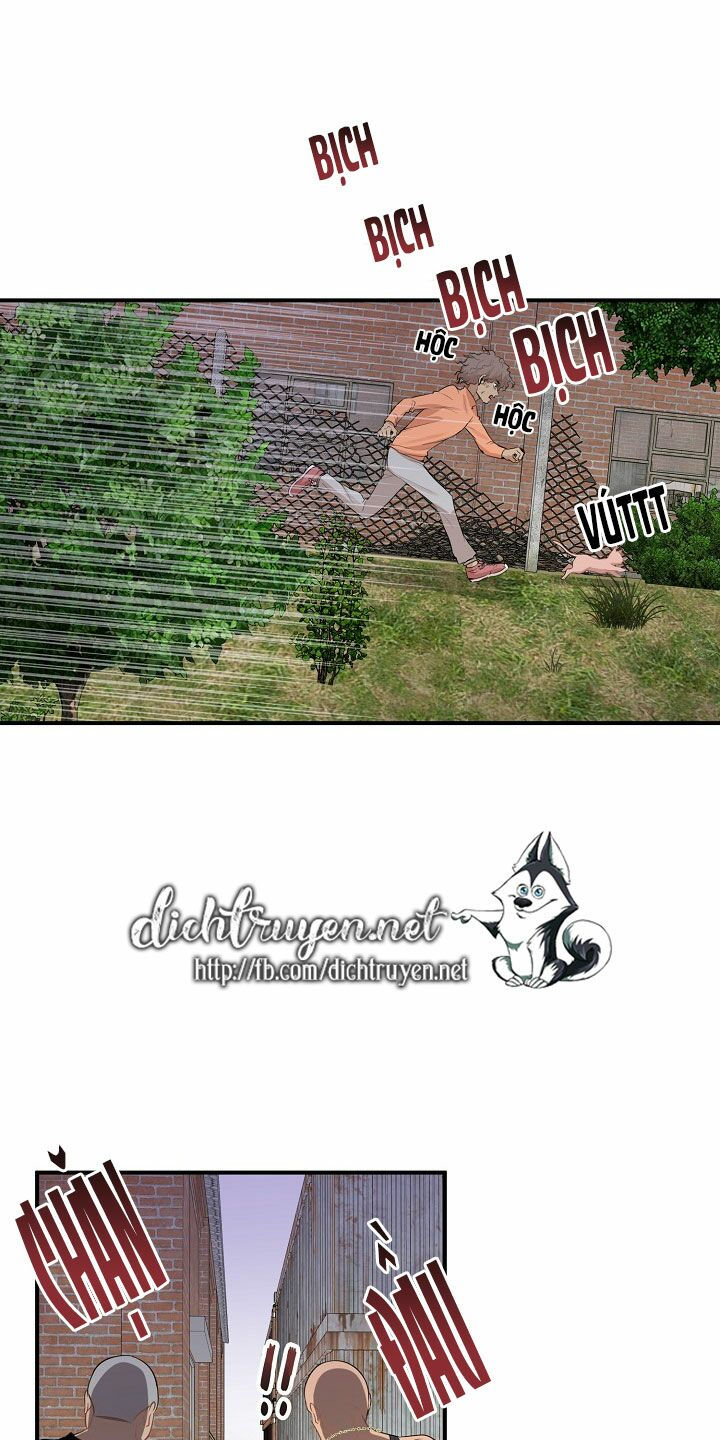 cuộc sống kỳ thú chapter 26 31