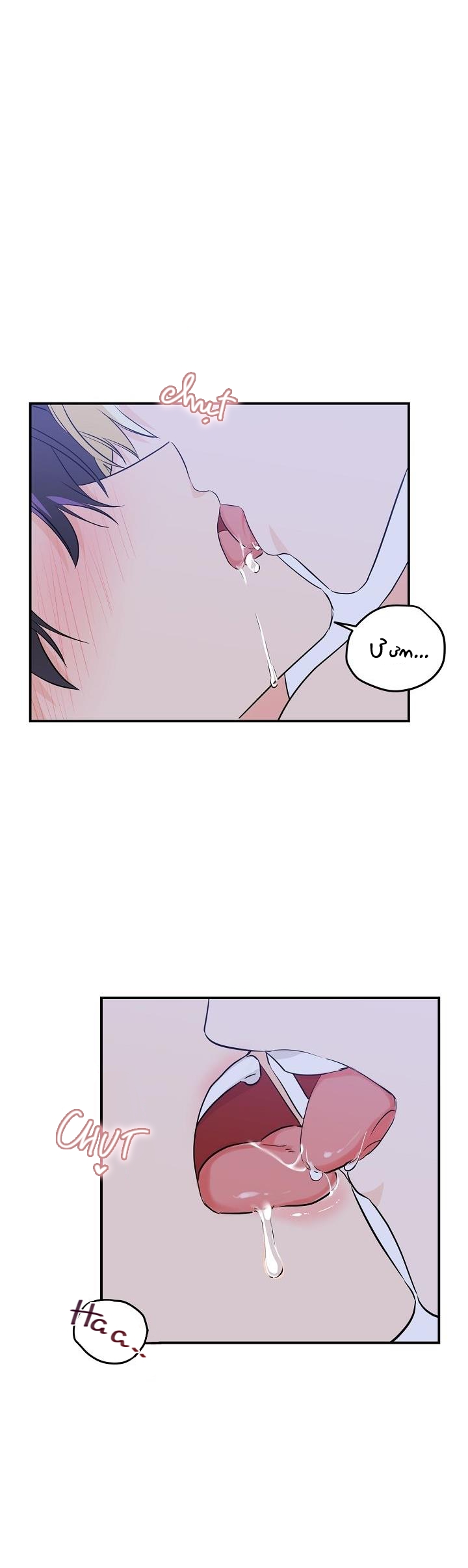 hoa ly hổ chapter 5 17