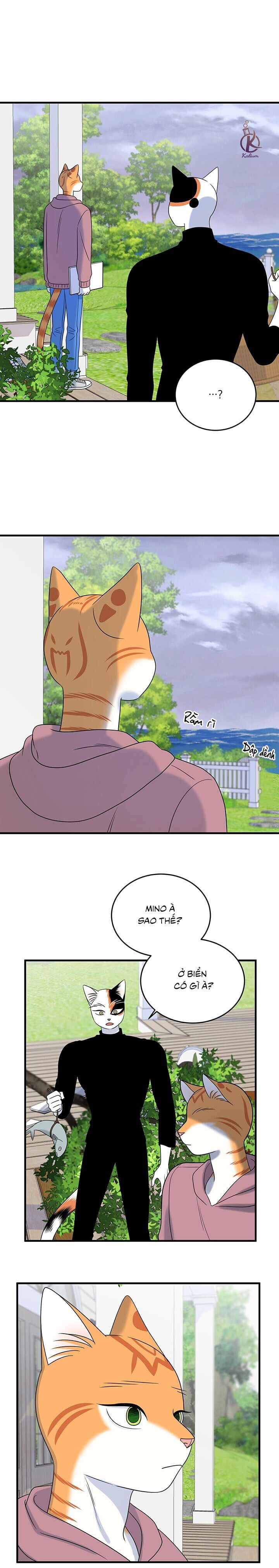 dự án xanh chapter 47 10