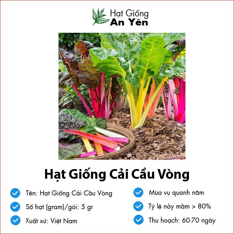 Hạt giống Cải Cầu Vòng, nhanh thu hoạch, dễ trồng, nảy mầm và năng suất cao