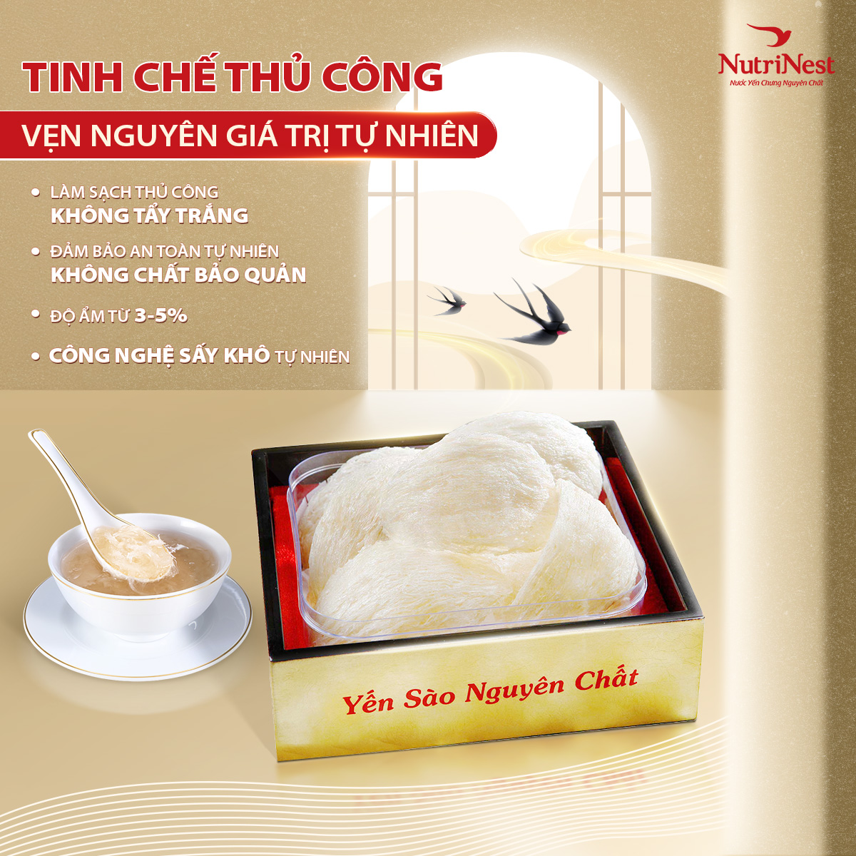 Tổ Yến Sào Rút Lông Nguyên Tổ Đặc Biệt NutriNest Cao Cấp Tặng Người Thân 50g - Kèm Đường Phèn