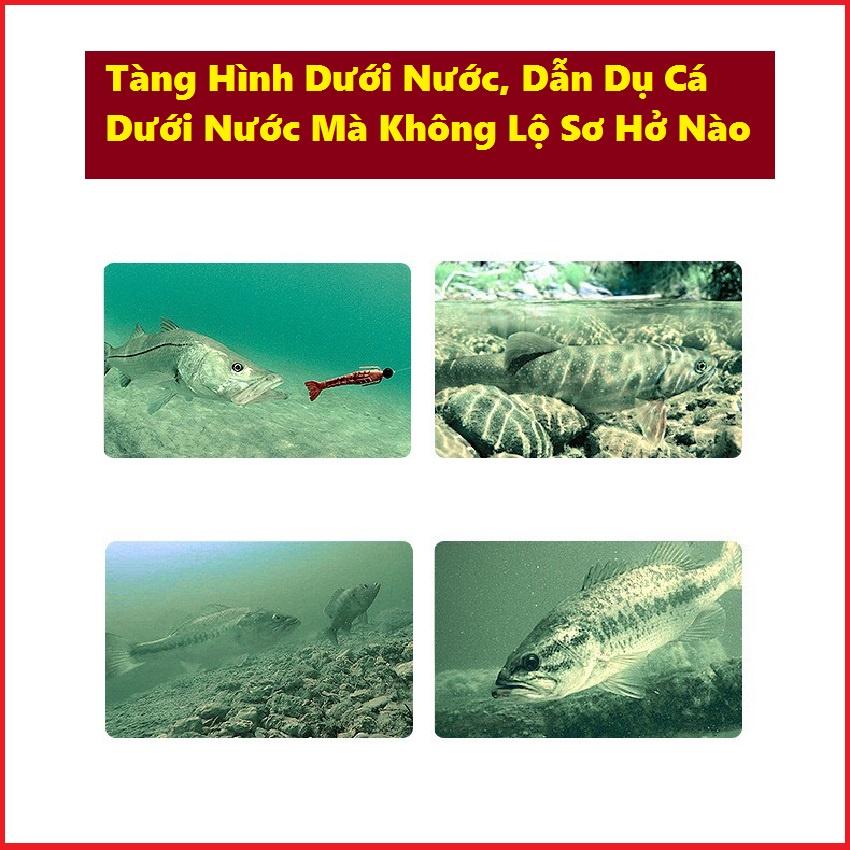 Cước Câu Cá Carbon Cao Cấp YingTian Carbonline Chuyên Săn Hàng DCR4 -Sanami Fishing