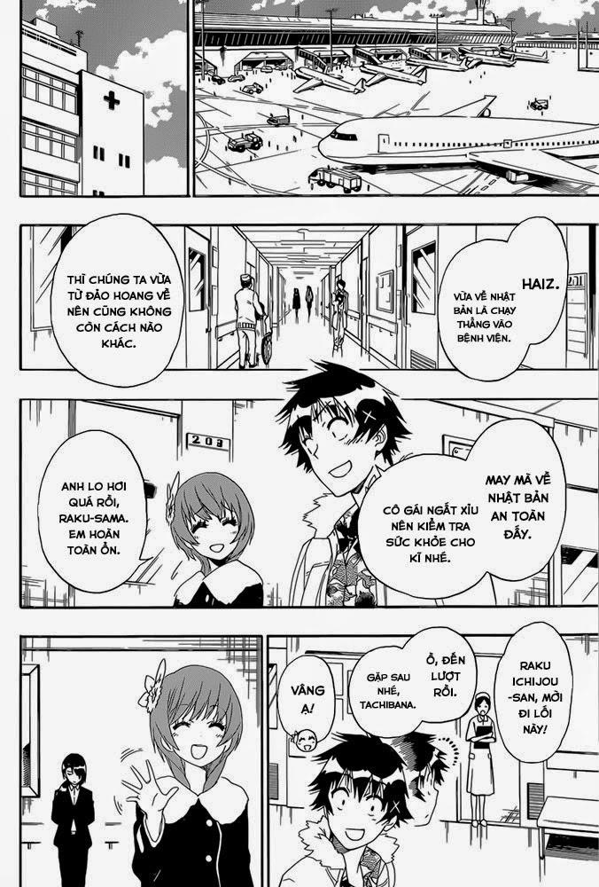 nisekoi - tình yêu giả tạo chapter 171 19