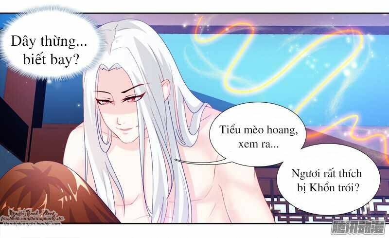 sư tôn hai mặt đừng xằng bậy chapter 1 28