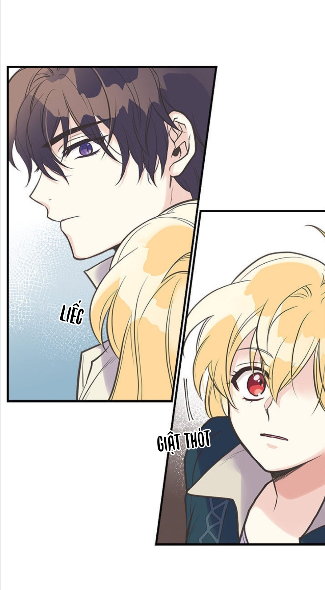 chị tôi đã nhặt về một nam chính quyến rũ chapter 31 16