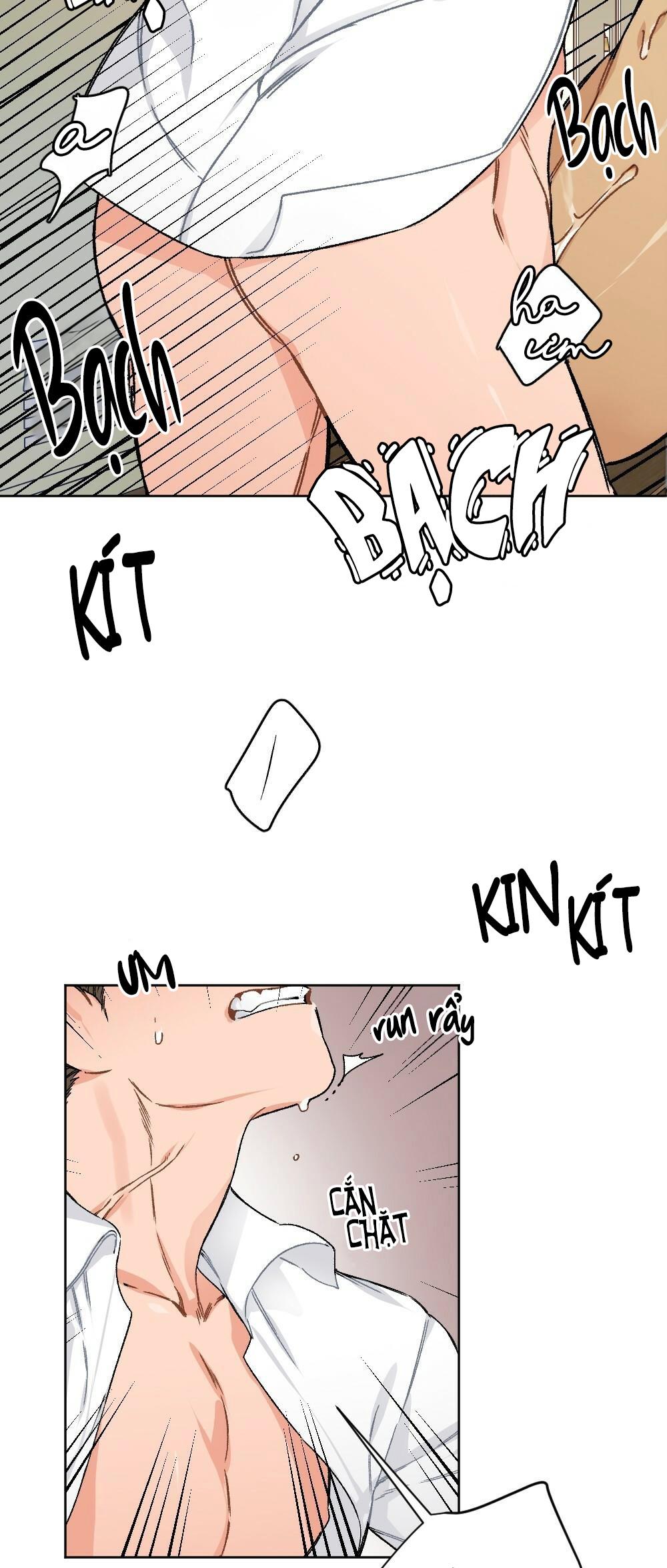 chăm sóc chapter 11 34