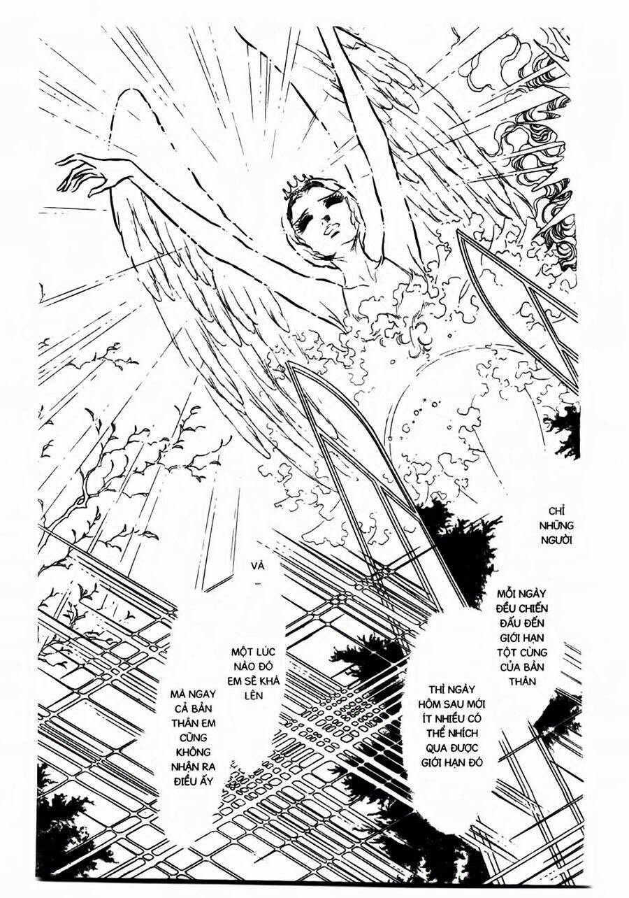 swan - vũ khúc thiên nga chapter 47 16