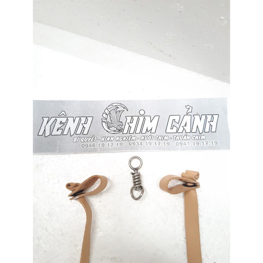 Dây chân chim ưng ấn, chim blackite