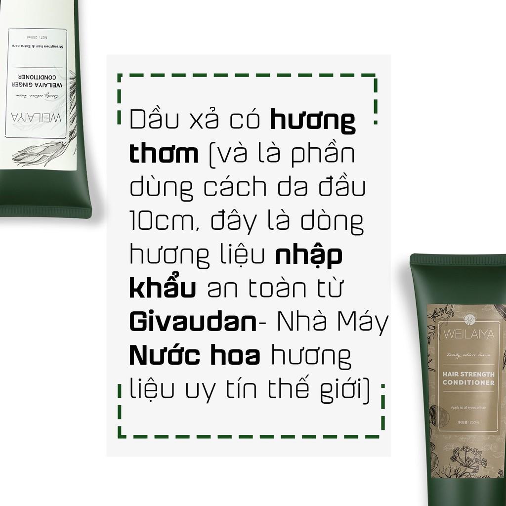 Bộ Dầu Gội Weilaiya Chính Hãng Tinh Chất Gừng Hà Thủ Ô Hỗ Trợ Mọc Tóc Ngăn Rụng Tóc - Cho Da Đầu Khô