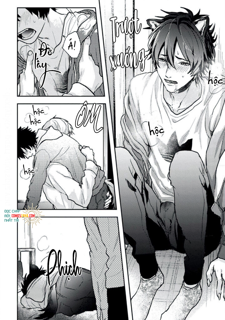 mật ngọt dã thú chapter 2 15