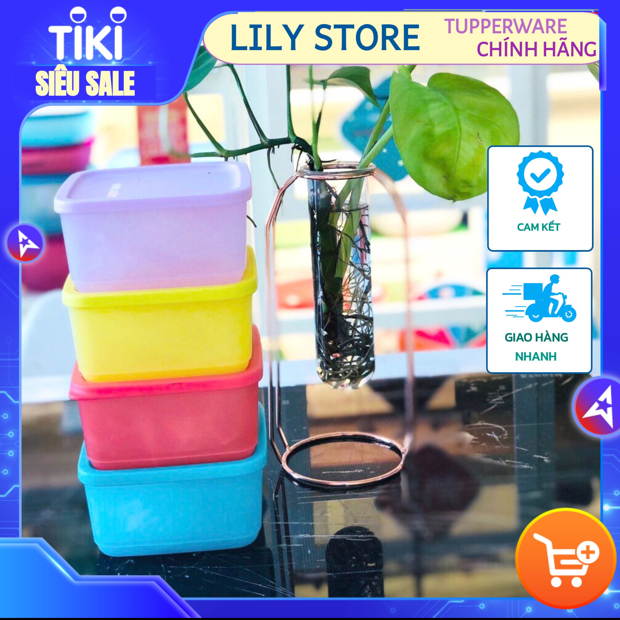 Bộ Hộp Bảo Quản Thực Phẩm Small Summer Fresh Bốn Hộp Tupperware, Hộp Trữ Khô, Nhựa Nguyên Sinh An Toàn