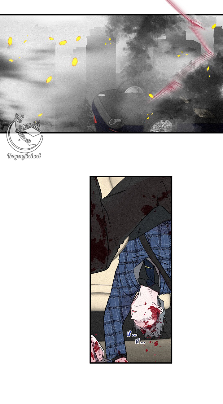 [bl19+] hoa không nở chapter 2 39