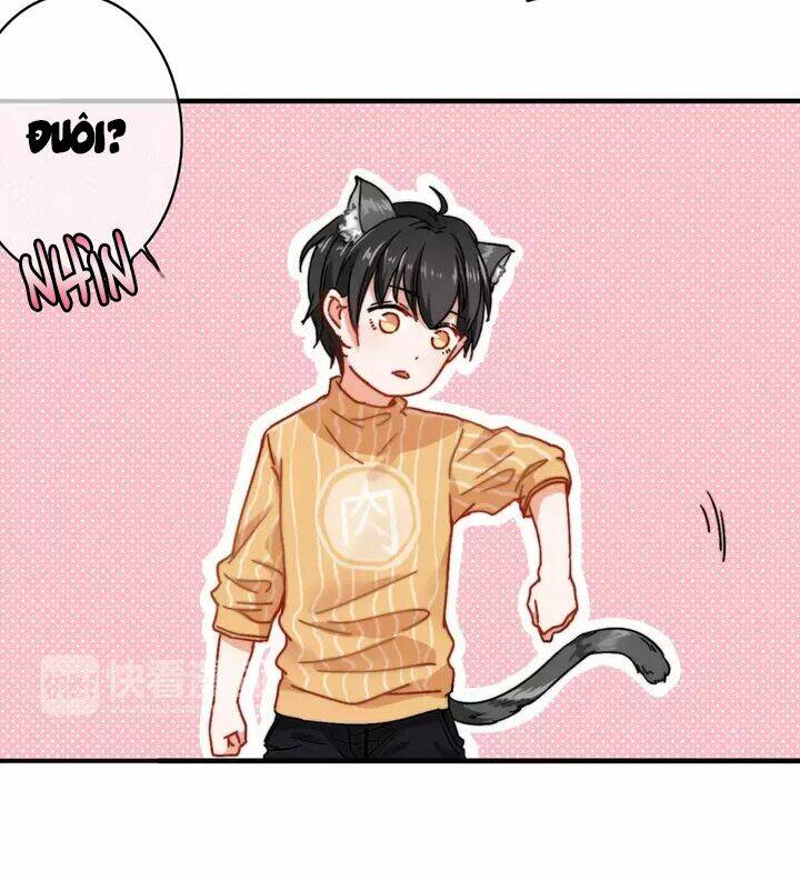 thập quang mật ngữ chapter 11 21