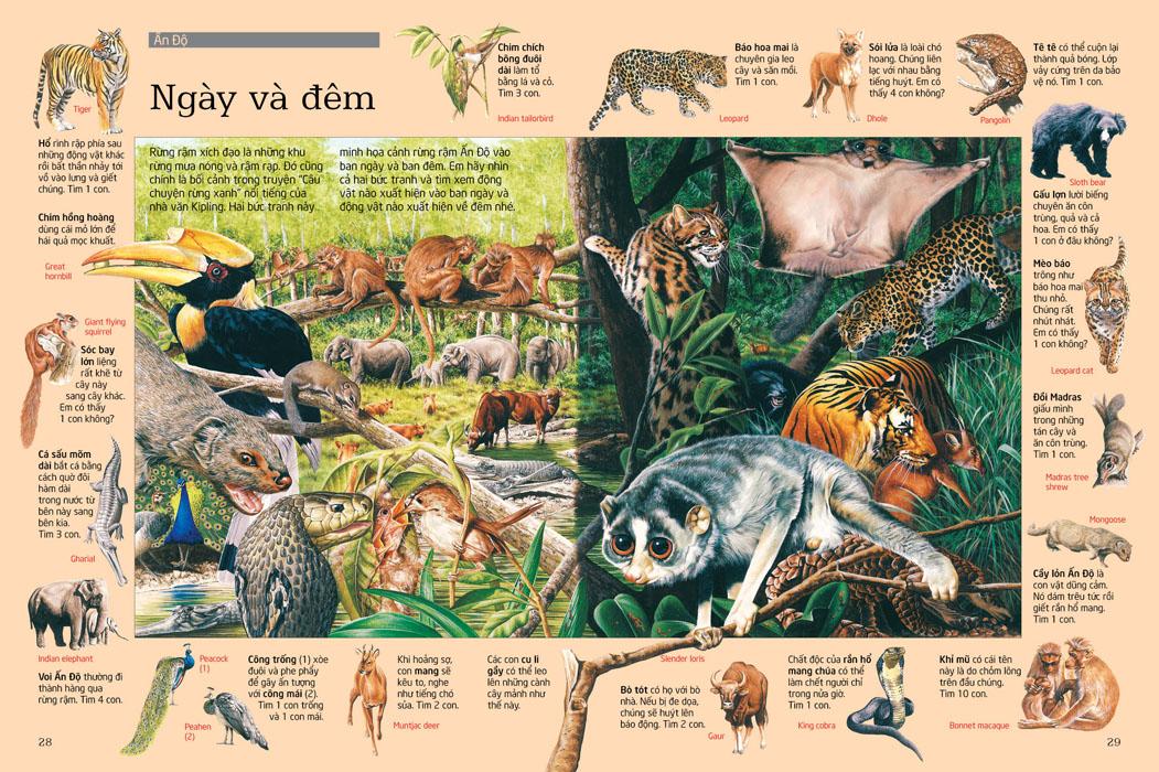 Thử Tài Tìm Kiếm - Động Vật