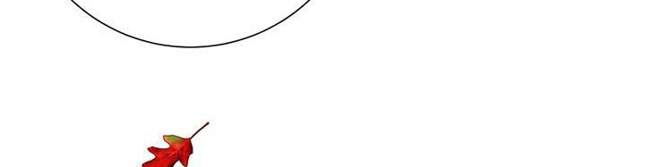 công chúa của loài chim chapter 49.1 437