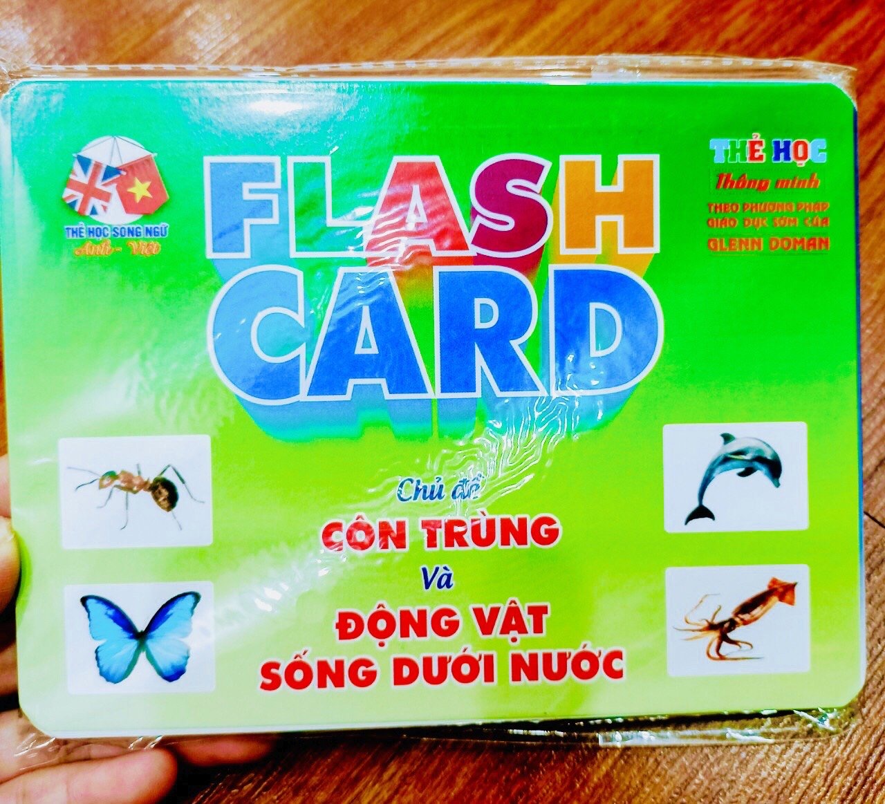 ￼Flash card A5 Khổ B- Thẻ học Thông Minh 18 chủ đề cho bé (Song ngữ Việt Anh)