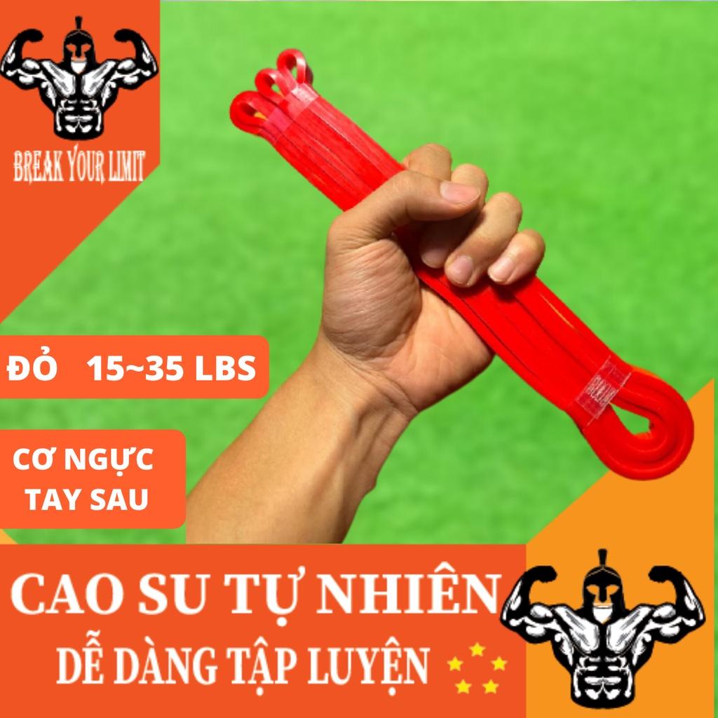 Dây đàn hồi đa năng kháng lực Power Band tập luyện Squat, Chống đẩy, Cơ tay trong Gym, Calisthenics, Streetworkout, Yoga