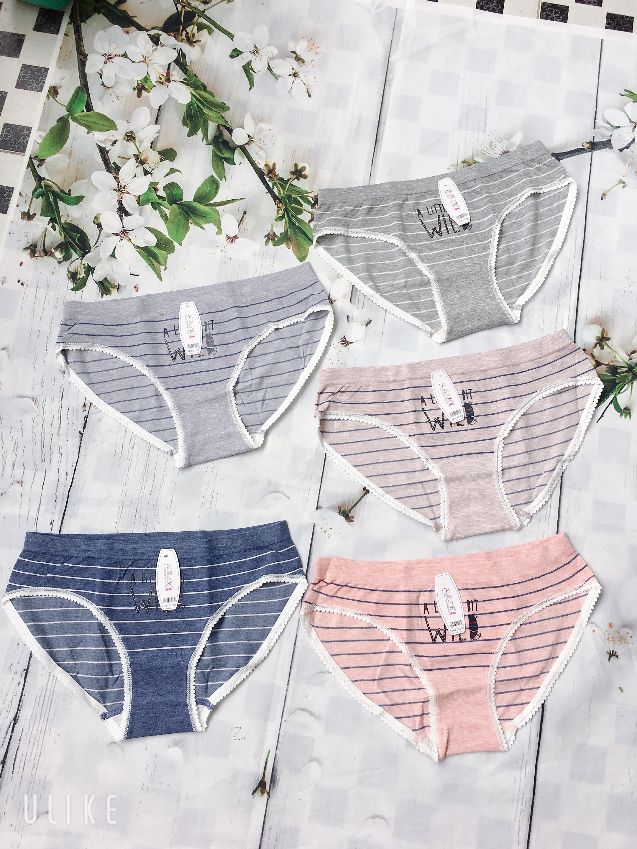 Combo 3 quần lót cotton siêu đẹp có túi zip mỗi quần fom từ 48-60kg mặc vừa