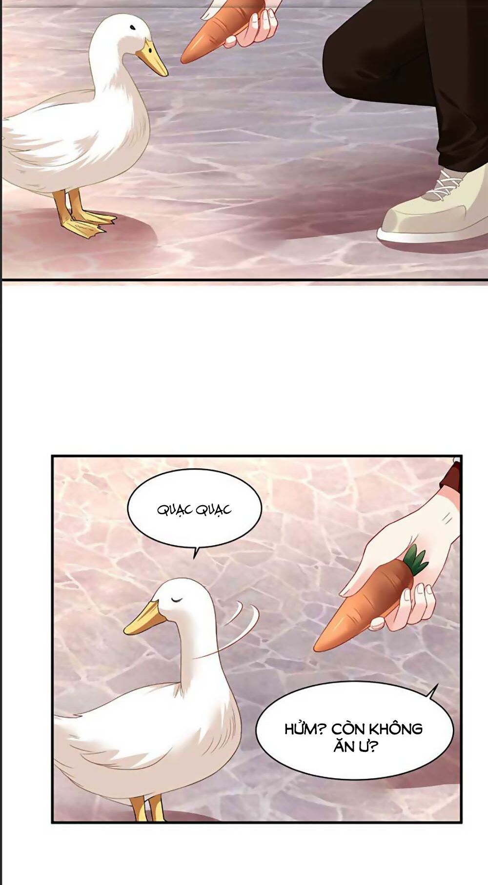 bạn trai 1/4 của tôi chapter 41 19