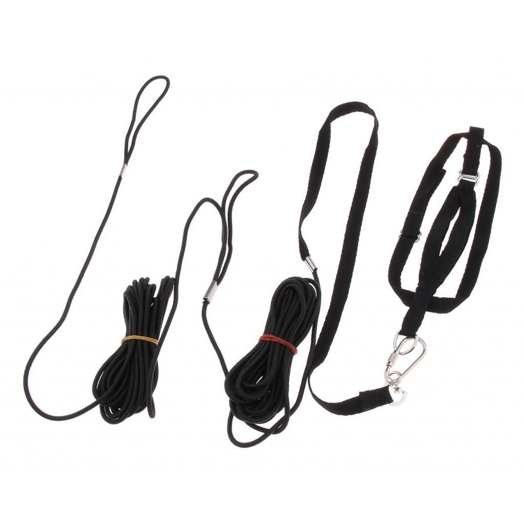 Outdoor Parrot Leash Adjustable Bird Harness For Small to Large Birds Black