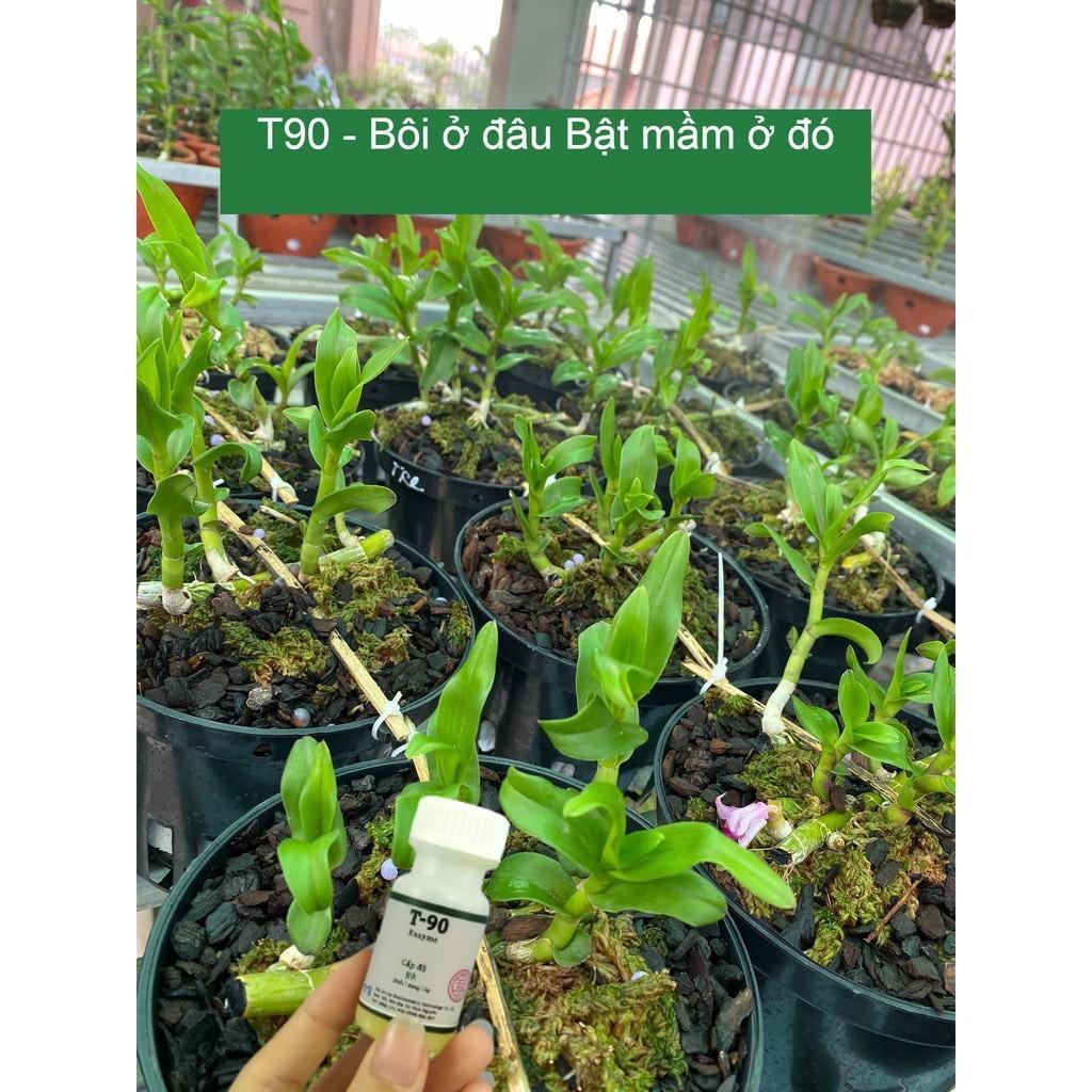Siêu Kích Mầm T 90, Bôi ở đâu bật mầm chỗ đó, Chuyên dùng cho hoa mai, hoa hồng, lan, cây bonsai