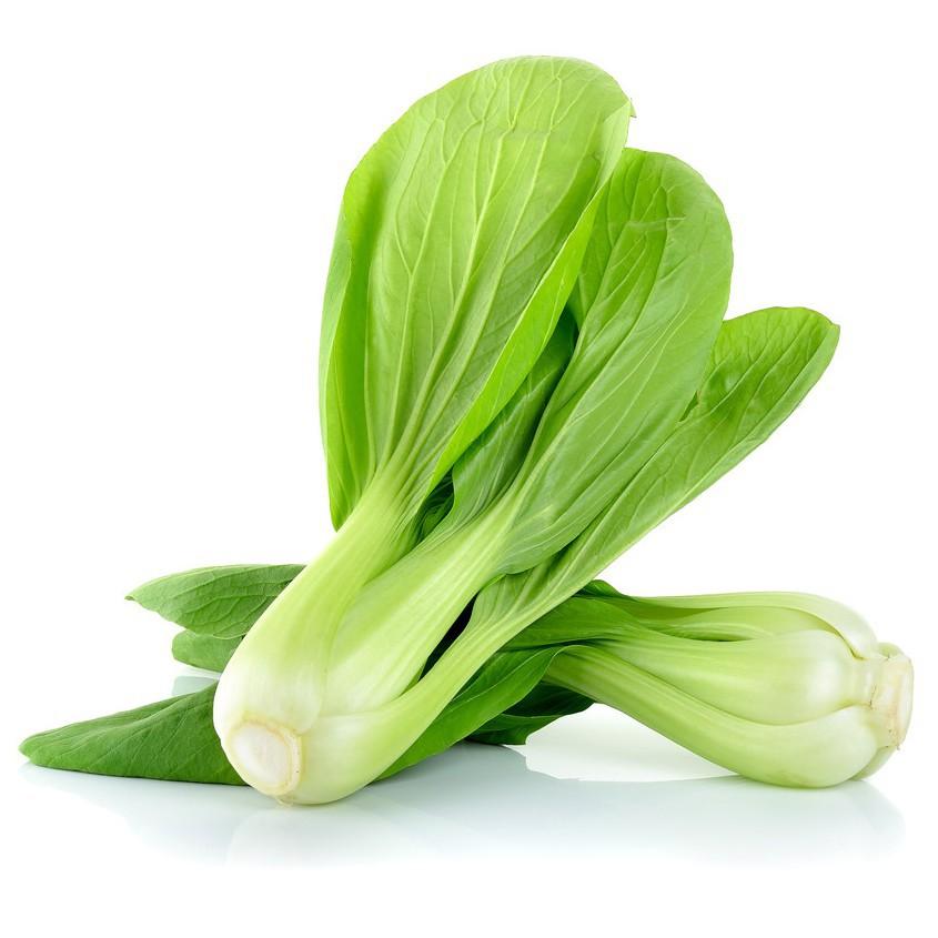 ️HẠT GIỐNG RAU CẢI THÌA F1️ RAU CẢI CHÍP CAO SẢN
