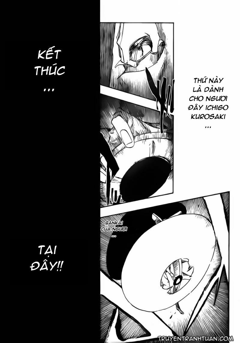 thần chết ichigo chapter 483 10