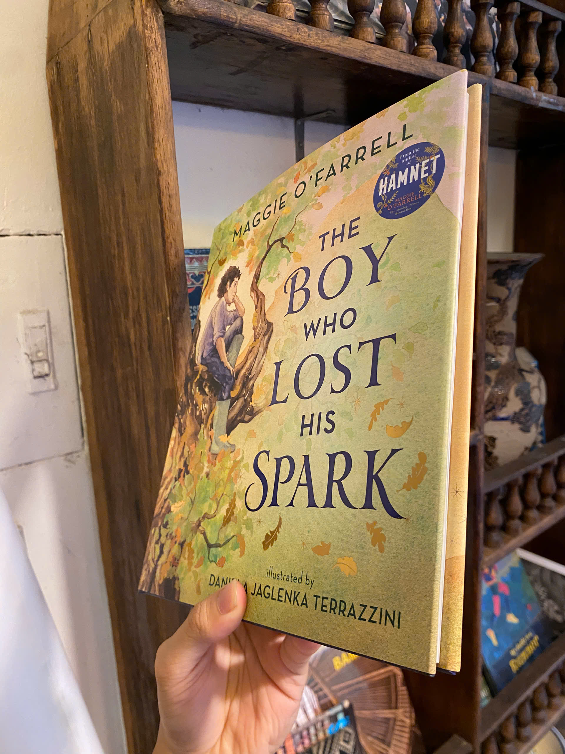 Sách - The Boy Who Lost His Spark by Maggie O'Farrell | English Book for Children / Ngoại văn