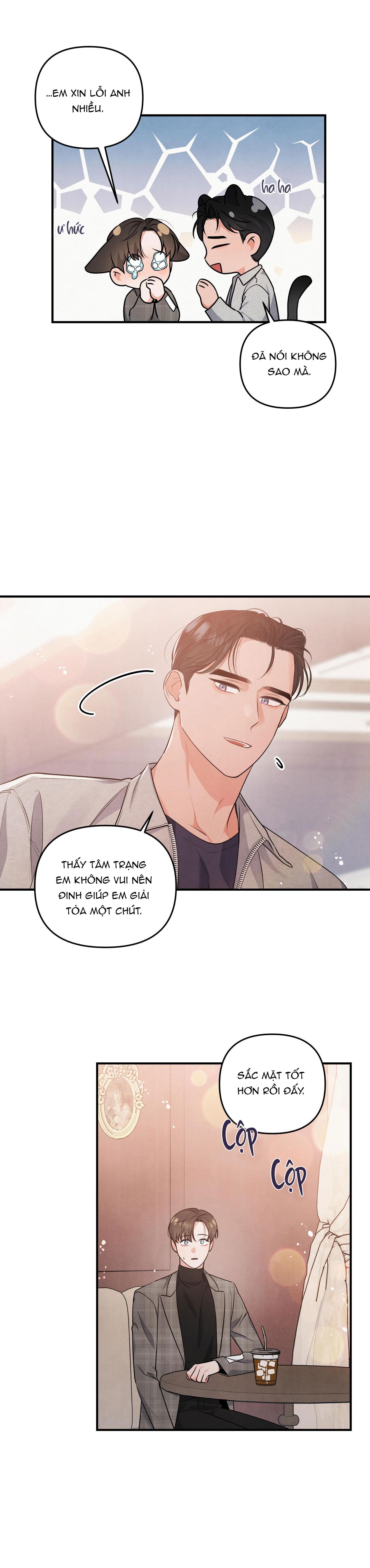 mối quan hệ ngu ngốc chapter 11 15